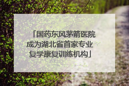 国药东风茅箭医院成为湖北省首家专业复学康复训练机构
