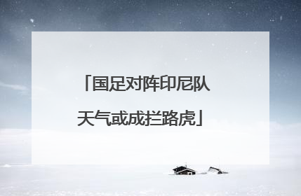 国足对阵印尼队 天气或成拦路虎