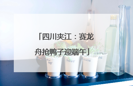 四川夹江：赛龙舟抢鸭子迎端午