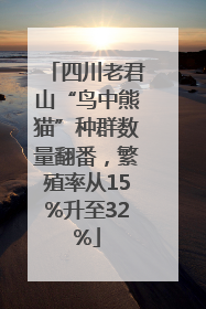 四川老君山“鸟中熊猫”种群数量翻番，繁殖率从15%升至32%