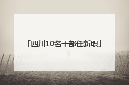 四川10名干部任新职
