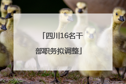 四川16名干部职务拟调整