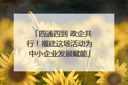 四通四到 政企共行！福建这场活动为中小企业发展赋能