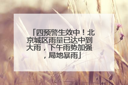 四预警生效中！北京城区雨量已达中到大雨，下午雨势加强，局地暴雨