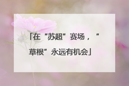 在“苏超”赛场，“草根”永远有机会
