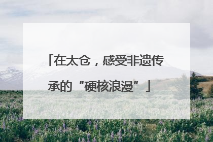 在太仓，感受非遗传承的“硬核浪漫”