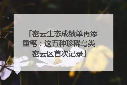 密云生态成绩单再添重笔：这五种珍稀鸟类密云区首次记录