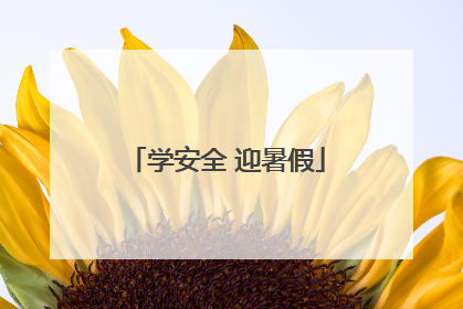 学安全 迎暑假