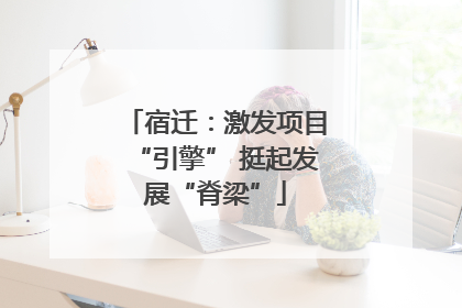 宿迁：激发项目“引擎” 挺起发展“脊梁”