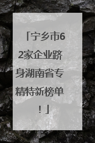 宁乡市62家企业跻身湖南省专精特新榜单！