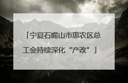 宁夏石嘴山市惠农区总工会持续深化“产改”