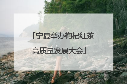 宁夏举办枸杞红茶高质量发展大会