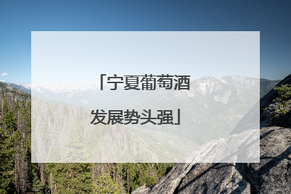 宁夏葡萄酒发展势头强