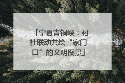 宁夏青铜峡：村社联动共绘“家门口”的文明图景