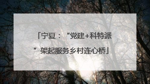 宁夏：“党建+科特派”架起服务乡村连心桥