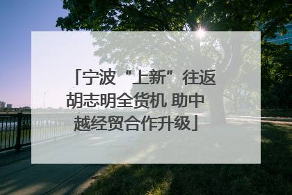 宁波“上新”往返胡志明全货机 助中越经贸合作升级