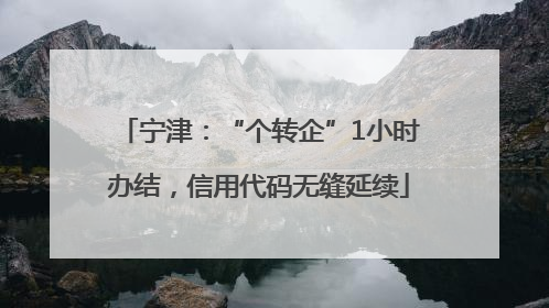 宁津：“个转企”1小时办结，信用代码无缝延续