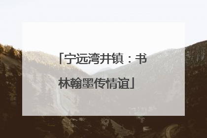 宁远湾井镇：书林翰墨传情谊