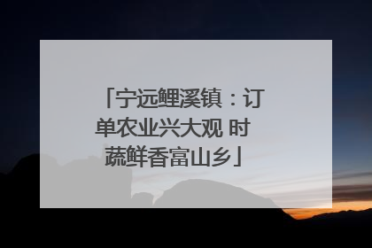 宁远鲤溪镇：订单农业兴大观 时蔬鲜香富山乡