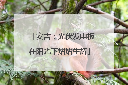 安吉：光伏发电板在阳光下熠熠生辉