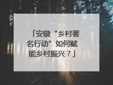 安徽“乡村著名行动”如何赋能乡村振兴？