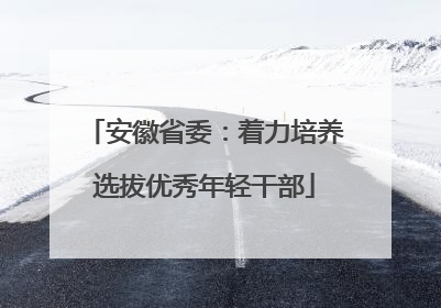 安徽省委：着力培养选拔优秀年轻干部