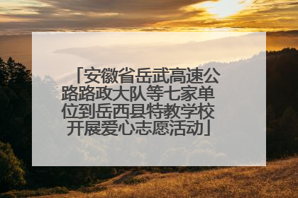 安徽省岳武高速公路路政大队等七家单位到岳西县特教学校开展爱心志愿活动