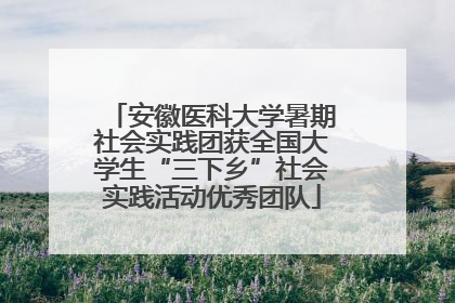安徽医科大学暑期社会实践团获全国大学生“三下乡”社会实践活动优秀团队
