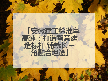 安徽建工徐淮阜高速：打造智慧建造标杆 铺就长三角融合坦途