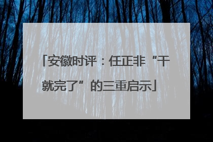 安徽时评：任正非“干就完了”的三重启示