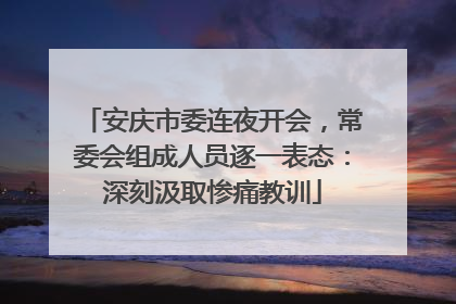 安庆市委连夜开会，常委会组成人员逐一表态：深刻汲取惨痛教训