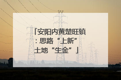 安阳内黄楚旺镇：思路“上新” 土地“生金”