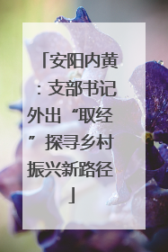 安阳内黄：支部书记外出“取经”探寻乡村振兴新路径