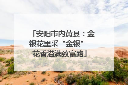 安阳市内黄县：金银花里采“金银” 花香溢满致富路