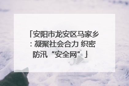 安阳市龙安区马家乡：凝聚社会合力 织密防汛“安全网”