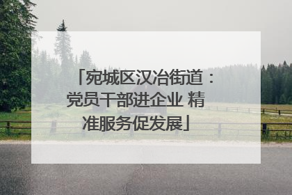 宛城区汉冶街道：党员干部进企业 精准服务促发展