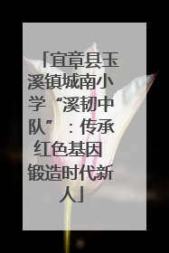 宜章县玉溪镇城南小学“溪韧中队”：传承红色基因 锻造时代新人