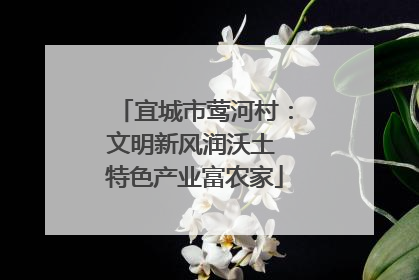 宜城市莺河村：文明新风润沃土 特色产业富农家