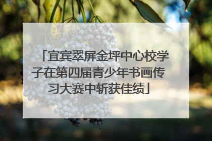 宜宾翠屏金坪中心校学子在第四届青少年书画传习大赛中斩获佳绩
