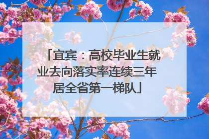 宜宾：高校毕业生就业去向落实率连续三年居全省第一梯队