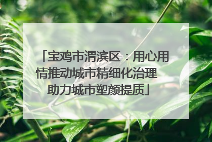 宝鸡市渭滨区：用心用情推动城市精细化治理 助力城市塑颜提质