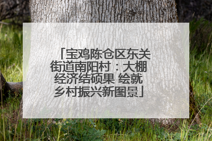 宝鸡陈仓区东关街道南阳村：大棚经济结硕果 绘就乡村振兴新图景