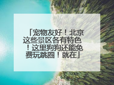 宠物友好！北京这些景区各有特色！这里狗狗还能免费玩跳圈！就在