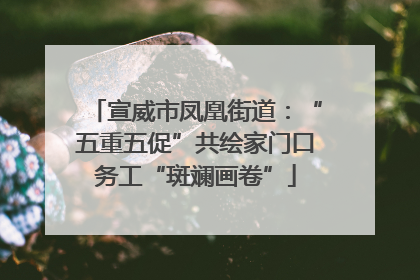 宣威市凤凰街道：“五重五促”共绘家门口务工“斑斓画卷”