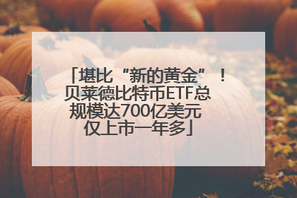 堪比“新的黄金”！贝莱德比特币ETF总规模达700亿美元 仅上市一年多