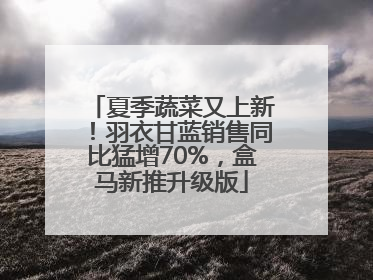 夏季蔬菜又上新！羽衣甘蓝销售同比猛增70%，盒马新推升级版