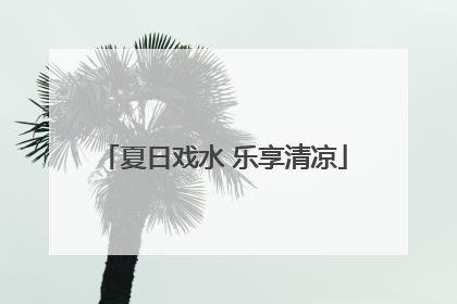 夏日戏水 乐享清凉