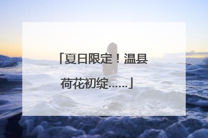 夏日限定！温县荷花初绽……