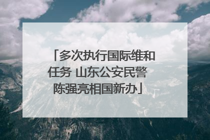 多次执行国际维和任务 山东公安民警陈强亮相国新办