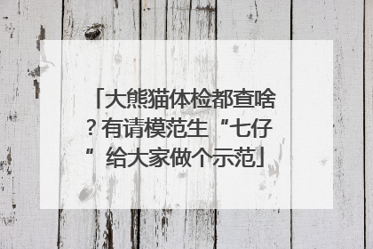 大熊猫体检都查啥？有请模范生“七仔”给大家做个示范